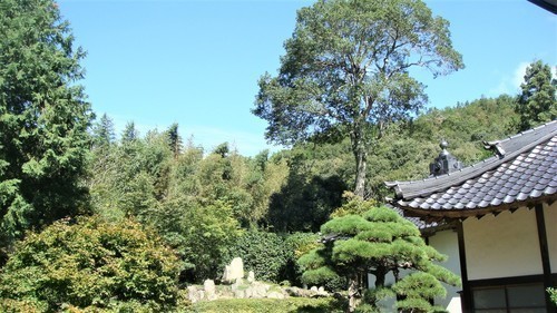 ６庭園の背後（３３－１２３８）大通寺 (5).JPG