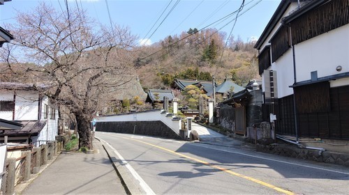 2参道(20-4401)来迎寺 (9).JPG
