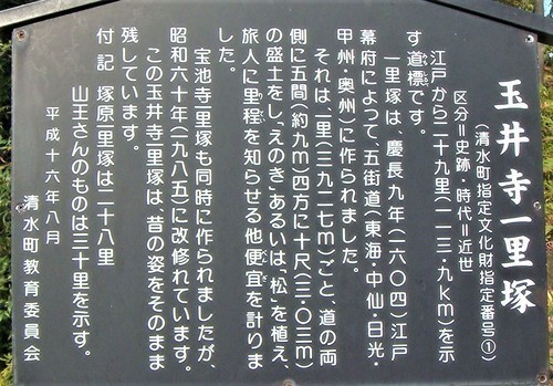 ３説明板（２２－４５０１）玉井寺  (3).JPG