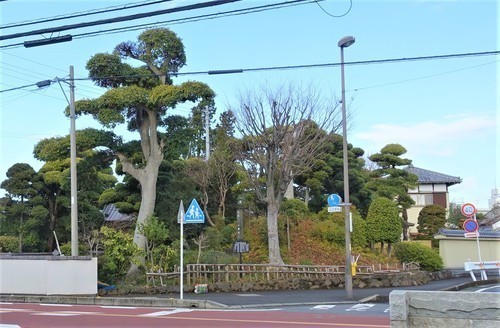 1玉井寺一里塚(22-4501)玉井寺 (1).JPG