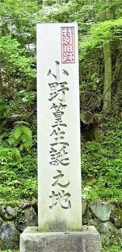 ０（３４－２３）（００）＜１＞竹林寺標石.JPG