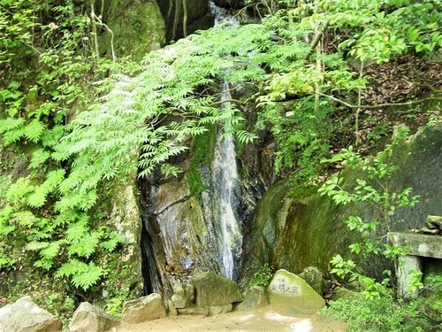 ８（３４－２５）（００）三瀧寺幽明の滝.JPG