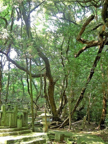 5(35-02)(00)大照院大フジ.jpg