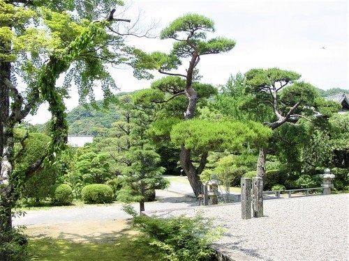 1(35-01)(00)東光寺境内.JPG