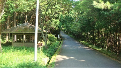 6県道272号進む(29-172)塩瀬地蔵 (10).JPG
