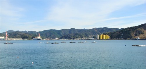 2由良港(30-2706)光台寺 (4).JPG