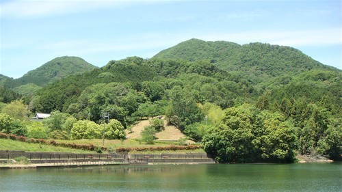 ４二上山と大池（２９－１０２３）高雄寺  (7).JPG