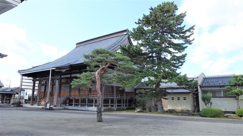 5本堂と三葉松(18-1330)円宮寺 (16).JPG