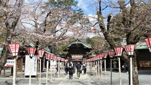 2(22-5000)三嶋大社 (8).JPG