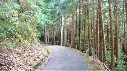 1県道119号(29-452)宗泉寺1 (2).JPG