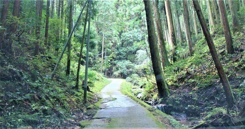 2参道(29-452)宗泉寺 (2).JPG