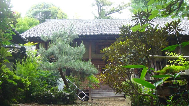 本堂(25-3726)仙琳寺 (8).JPG