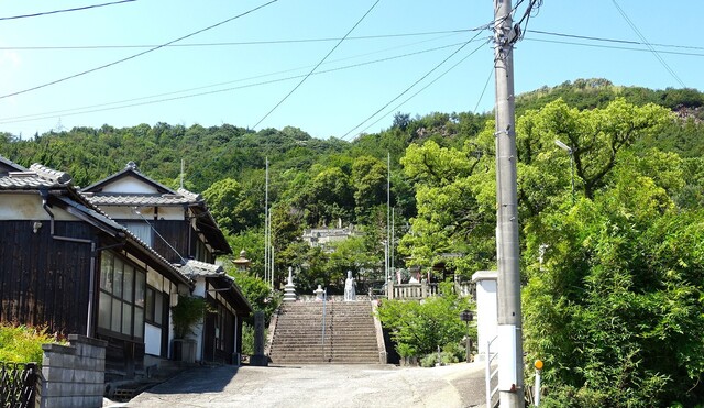(1)大平山(33-1506)宝島寺 (5).JPG
