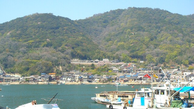(1)後山(34-0103)医王寺 (12).JPG