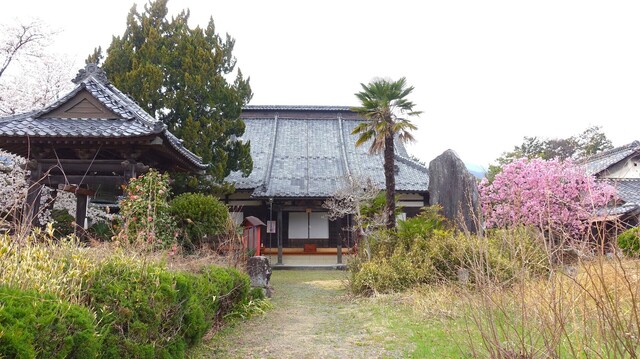 (19-0209)大輪寺 (6).JPG