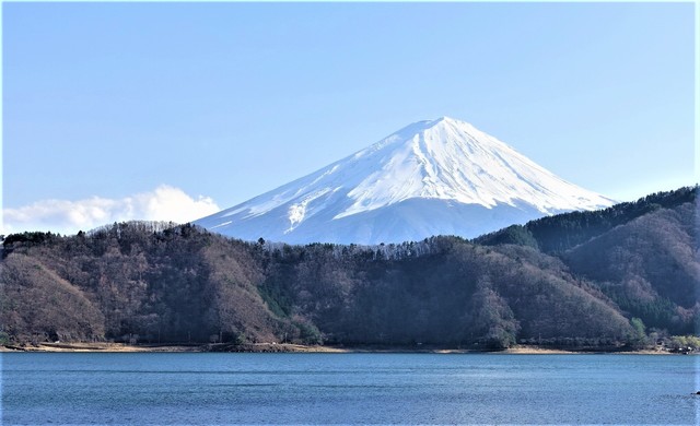 （１９－３７００）河口湖と富士山 (2).JPG