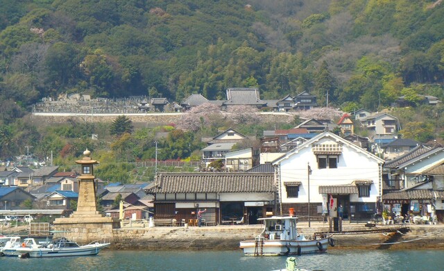 (2)中央上に医王寺(34-0103)医王寺 (4).JPG