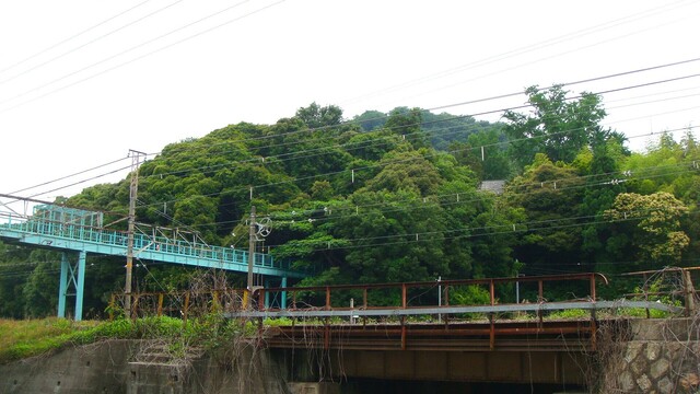 (2)山麓に世琳寺屋根(25-3726)仙琳寺 (2).JPG