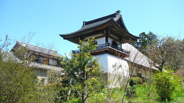(2)竜宮門(25-3507)西琳寺 (10).JPG