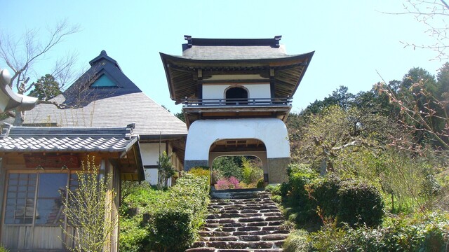 (2)竜宮門(25-3507)西琳寺 (6).JPG