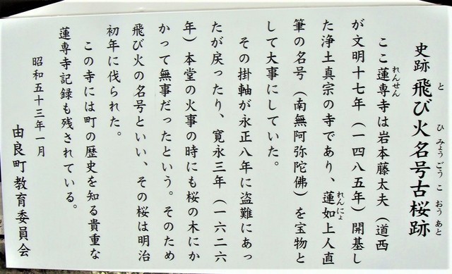 （３０－２７０７）蓮専寺 (8).JPG