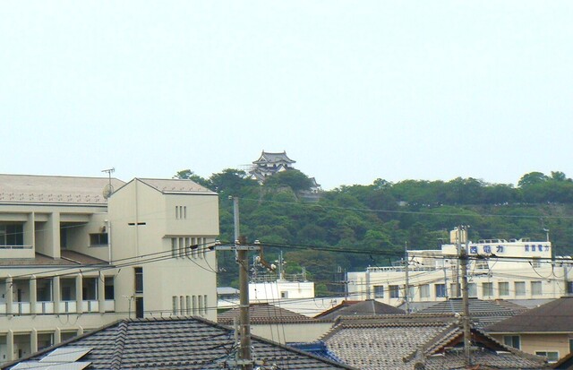 (4跨線橋から彦根城(25-3726)仙琳寺 (4).JPG