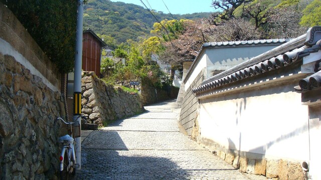 (4)医王寺えの坂道 右に明円寺(34-0103)医王寺 (13).JPG