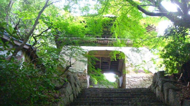 (5山門(25-3726)仙琳寺 (7).JPG