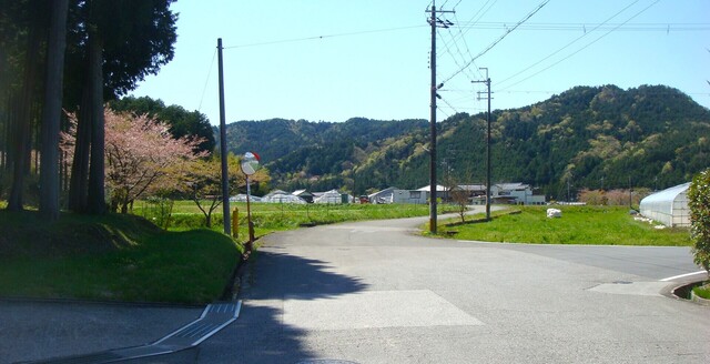 (8)周辺(25-3507)西琳寺 (2).JPG