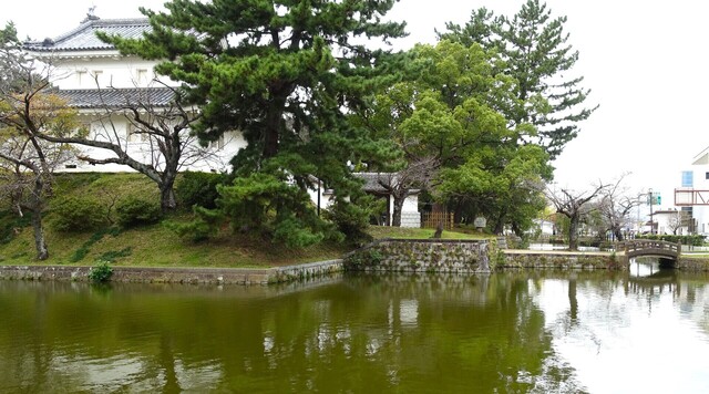 0土浦城跡DSC01864土浦城跡 (11).JPG