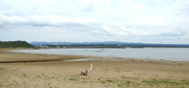 1DSC00475阿部屋海岸 (8).JPG