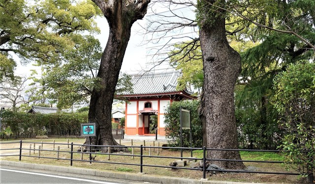 1三門DSC04135海清寺 (1).JPG