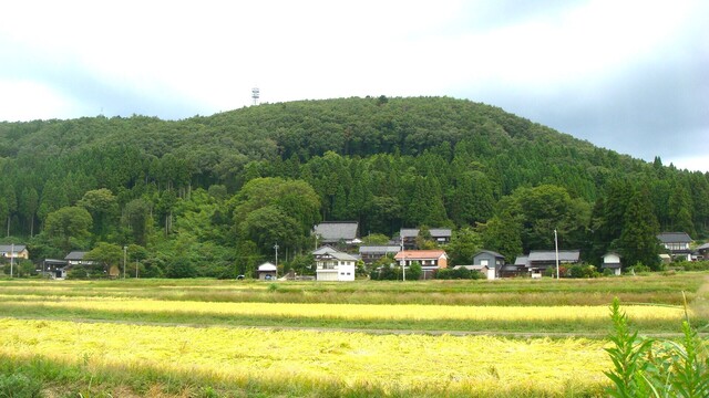 1中央に徳宝寺(17-2613)徳宝寺 (1).JPG