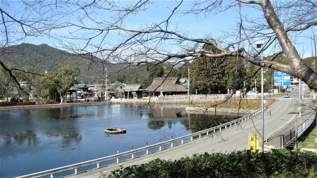 1兵主神社と池(28-4107)極楽寺 (13).JPG