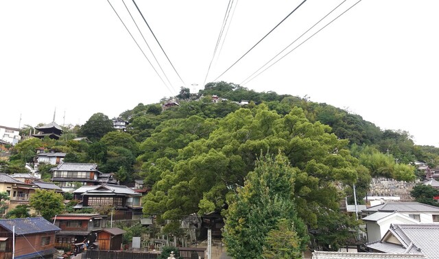 1千光寺山DSC06111.JPG