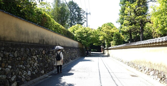 １参道DSC05945東福寺 (4).JPG
