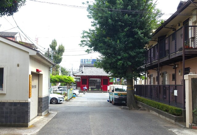1参道DSC08875承教寺 (8).JPG