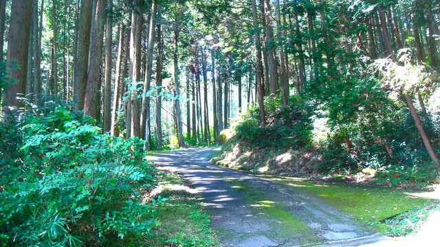 1参道(24-1260)喜福寺 (10).JPG