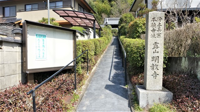 1参道(26-45015)明教寺 (13).JPG