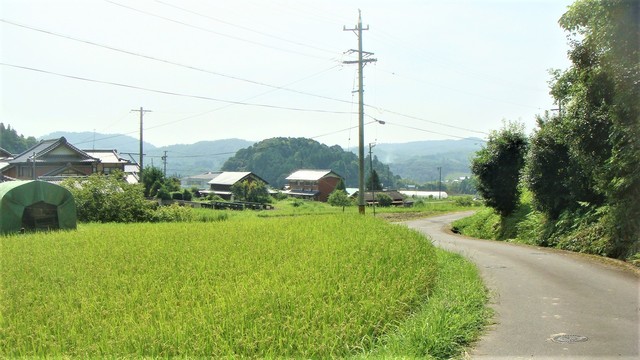 1周辺(24-1299-23)中村六地蔵磨崖仏 (9)1.JPG