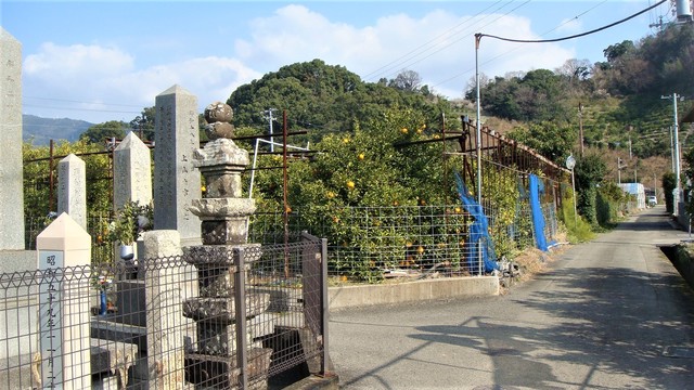 1周辺(30-2412)阿弥陀寺 (3).JPG