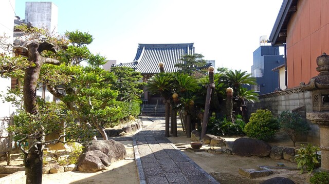 1境内DSC02633安楽寺 (20).JPG