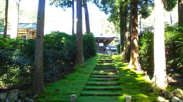1境内へDSC01329長英寺 (20).JPG
