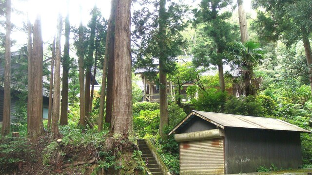 1境内(17-2518)正養寺 (1).JPG