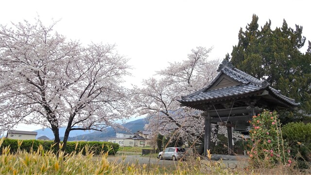 1境内(19-0209)大輪寺 (9).JPG