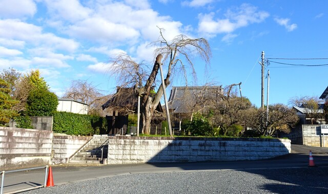 1外観DSC02530光明寺 (8)1.JPG