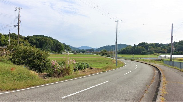 1大原野地区(28-0514)阿弥陀寺 (17).JPG