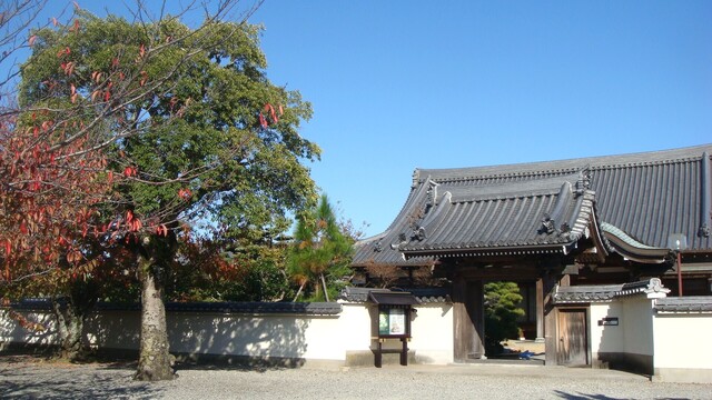 1山門DSC03047遍照院 (3).JPG