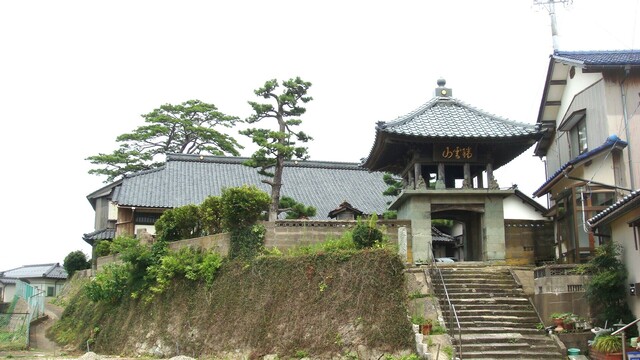 1山門(18-2217)金鳳寺 (15).JPG