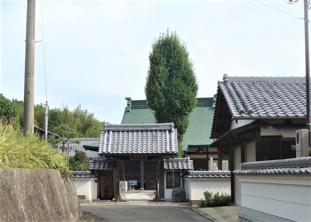 1山門(28-0513)正覚寺 (5).JPG